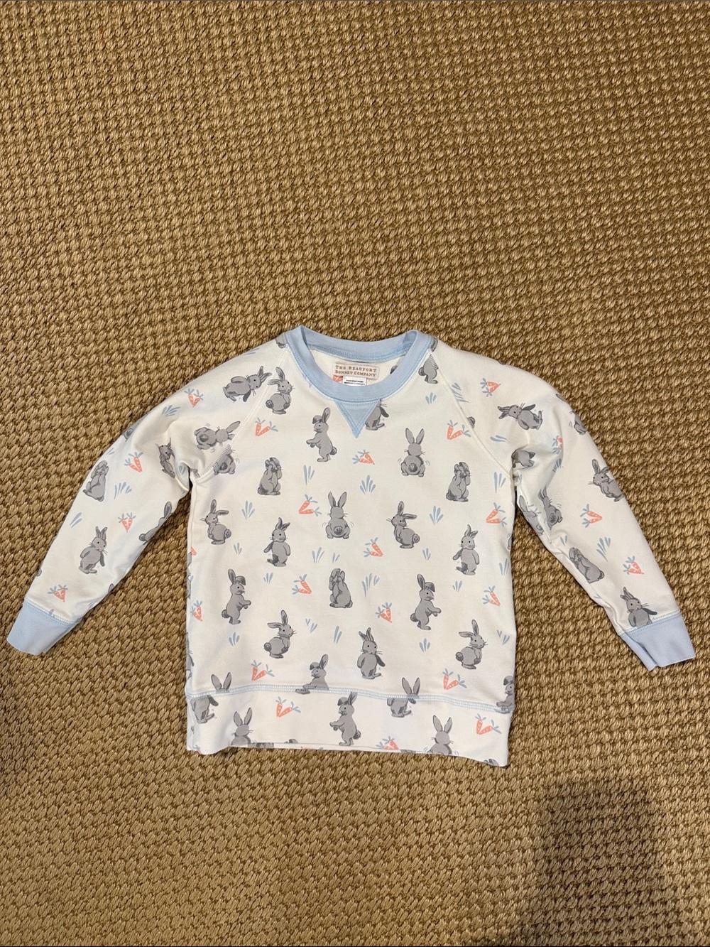 The Beaufort Bonnet Company Cassidy Comfy Crewneck in Broad St. Bunnies